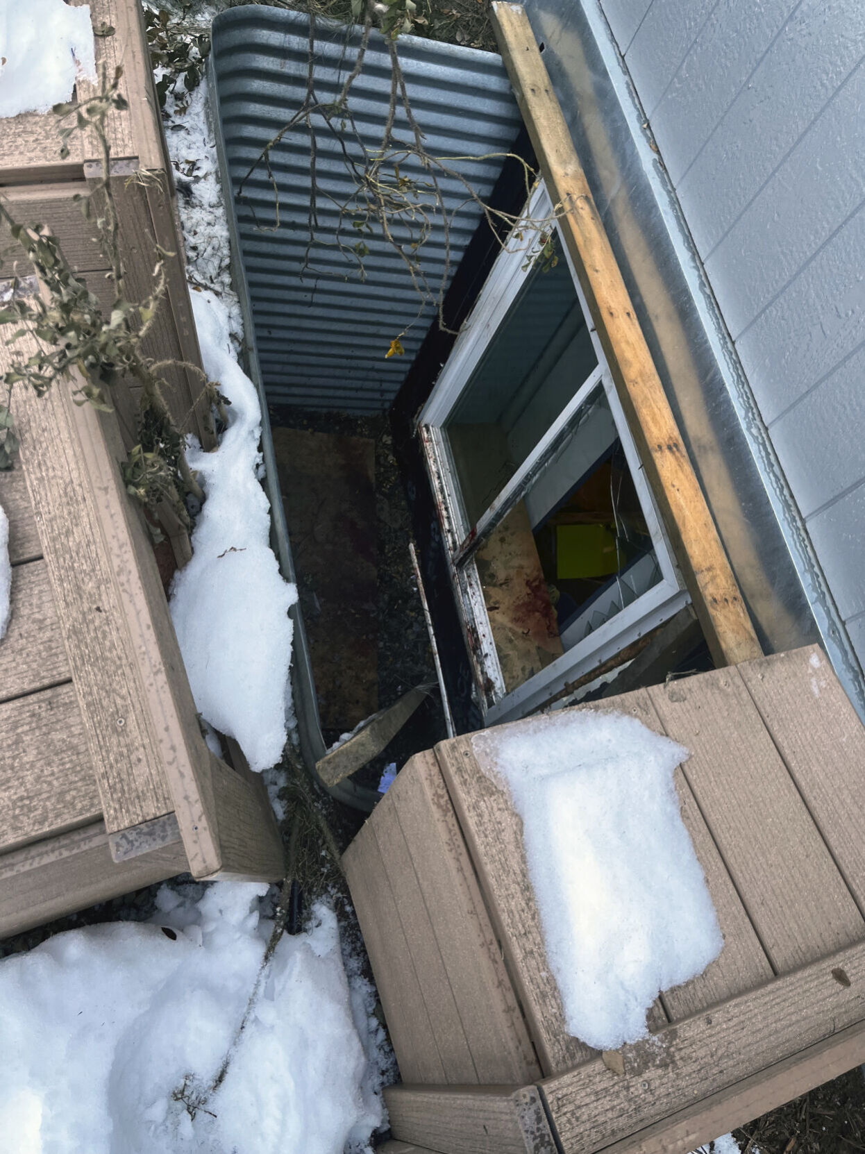 Alaska-Moose Rescue